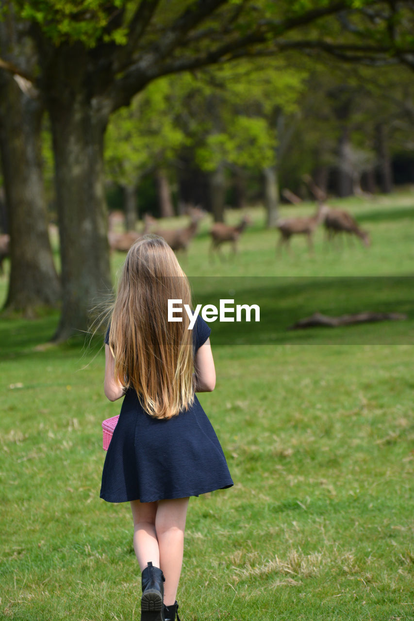 Rear view of girl standing on field