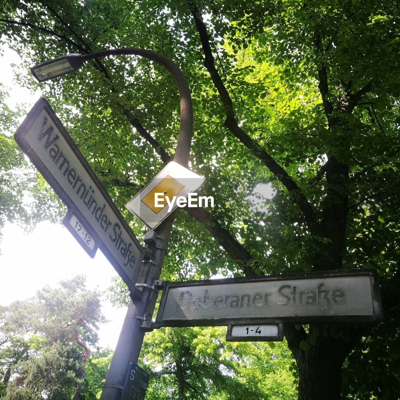 LOW ANGLE VIEW OF ROAD SIGNS AGAINST TREES