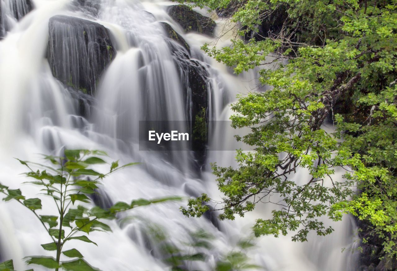 VIEW OF WATERFALL AGAINST TREES