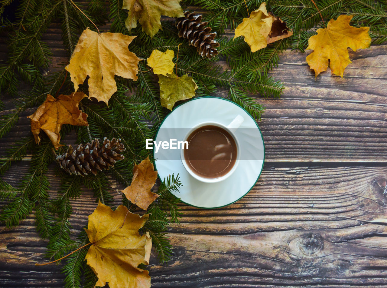 Hot chocolate for autumncomfort