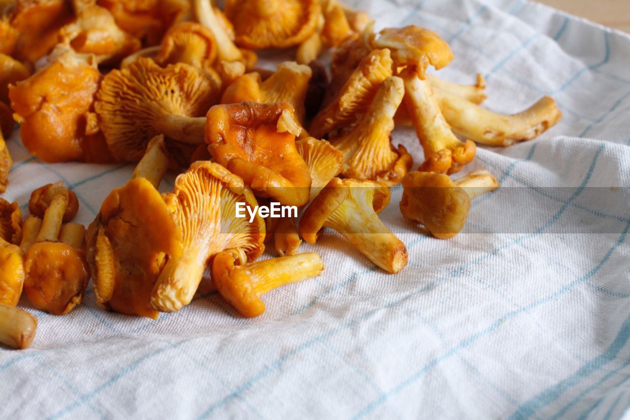 High angle view of mushrooms on plate