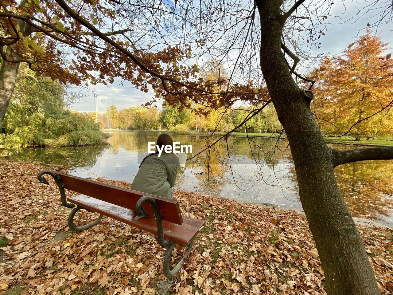 Rear view of woman reading book while sitting on bench by lake at park