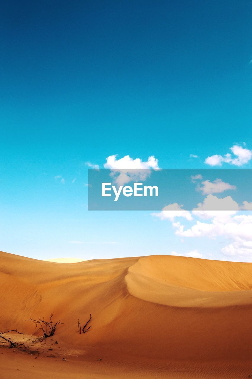 SCENIC VIEW OF SAND DUNES AGAINST SKY