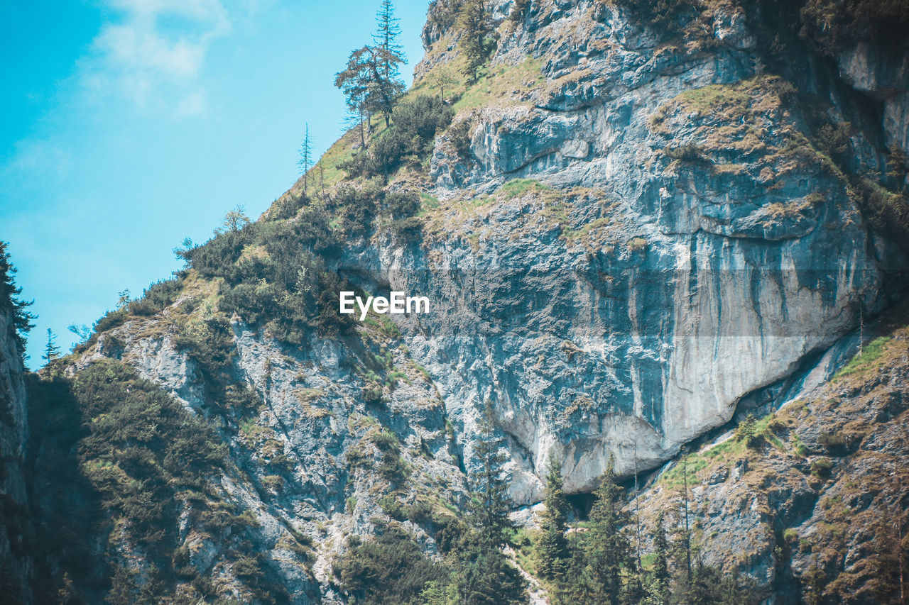 Low angle view of trees on cliff against sky