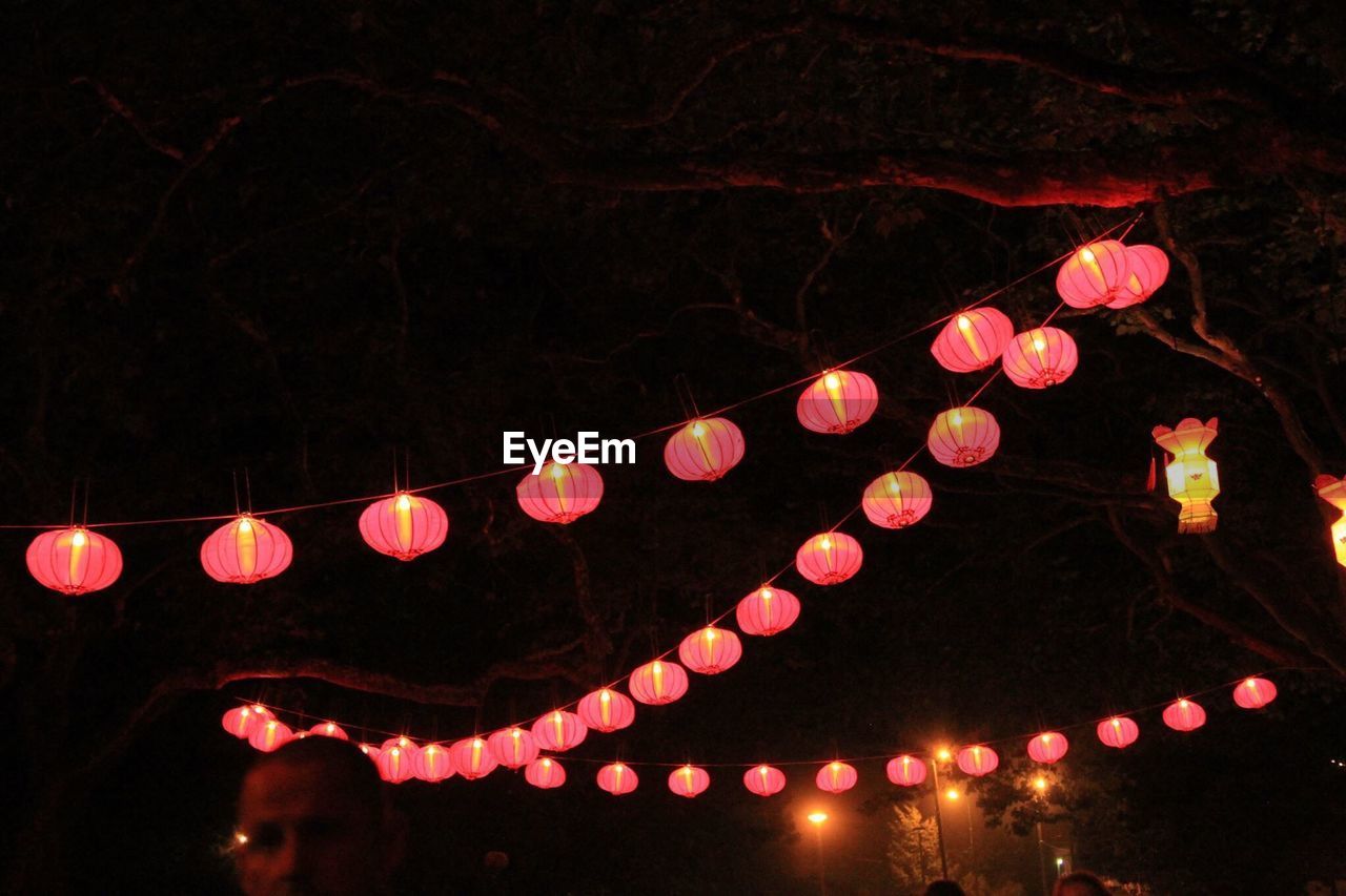 Low angle view of illuminated red lanterns hanging on trees at night