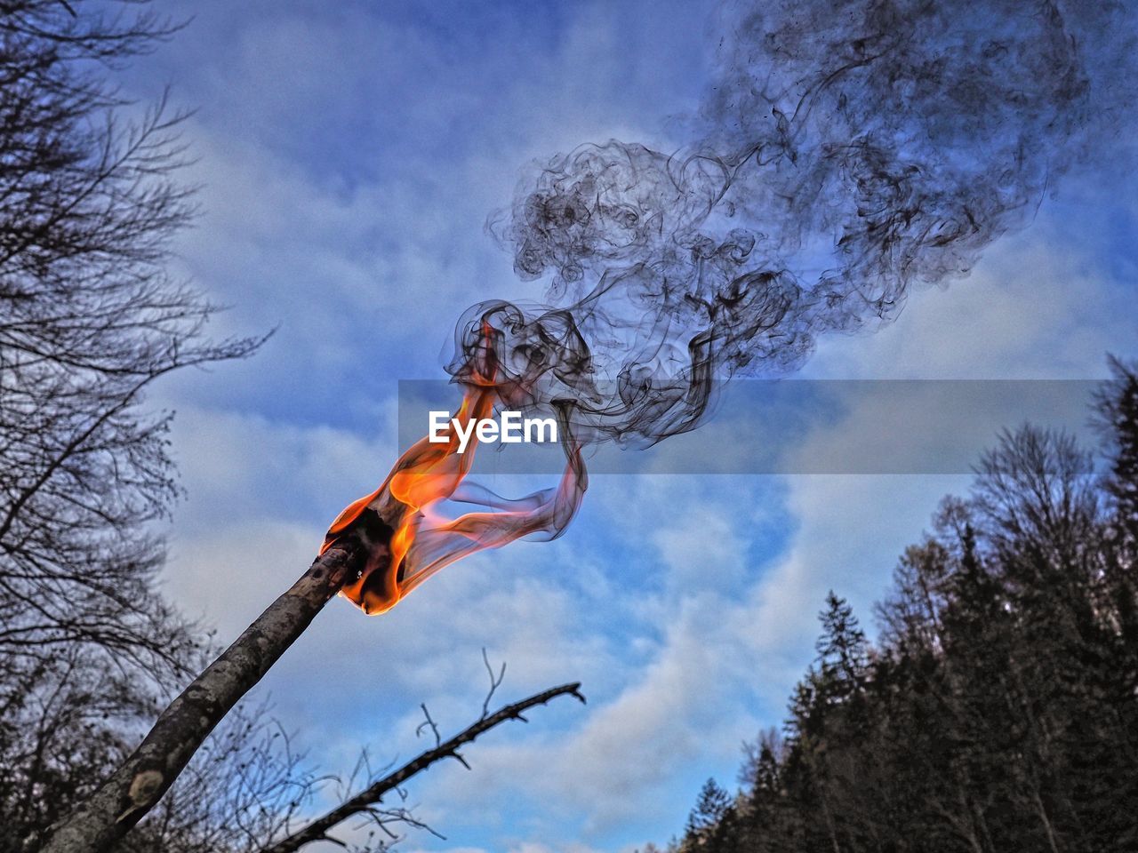 LOW ANGLE VIEW OF BARE TREES AGAINST SKY