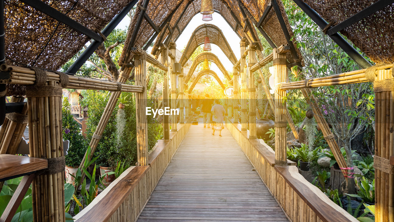 BOARDWALK AMIDST TREES AND BUILDING