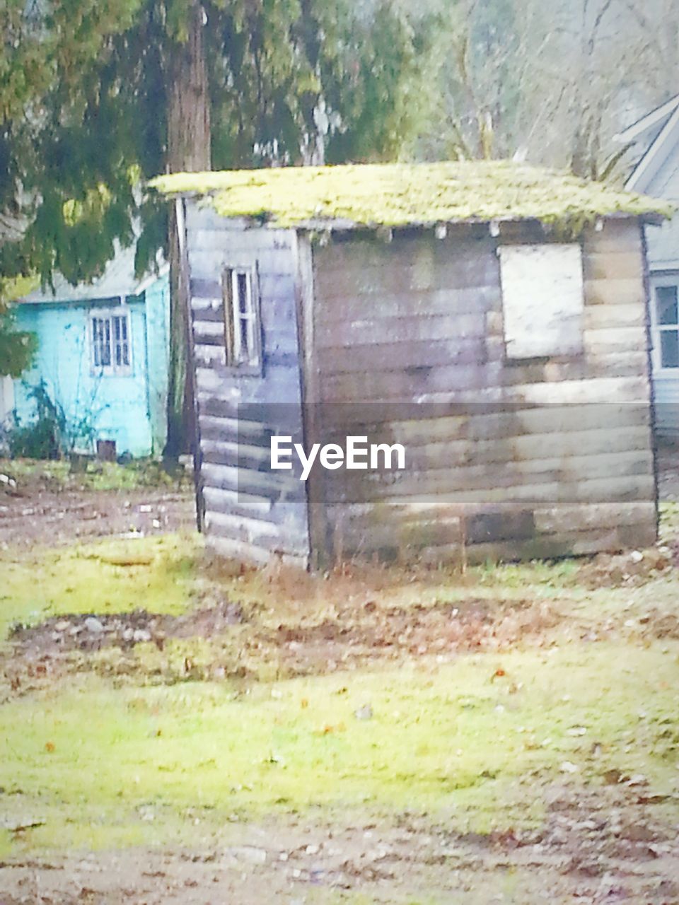 OLD RUIN IN THE GARDEN