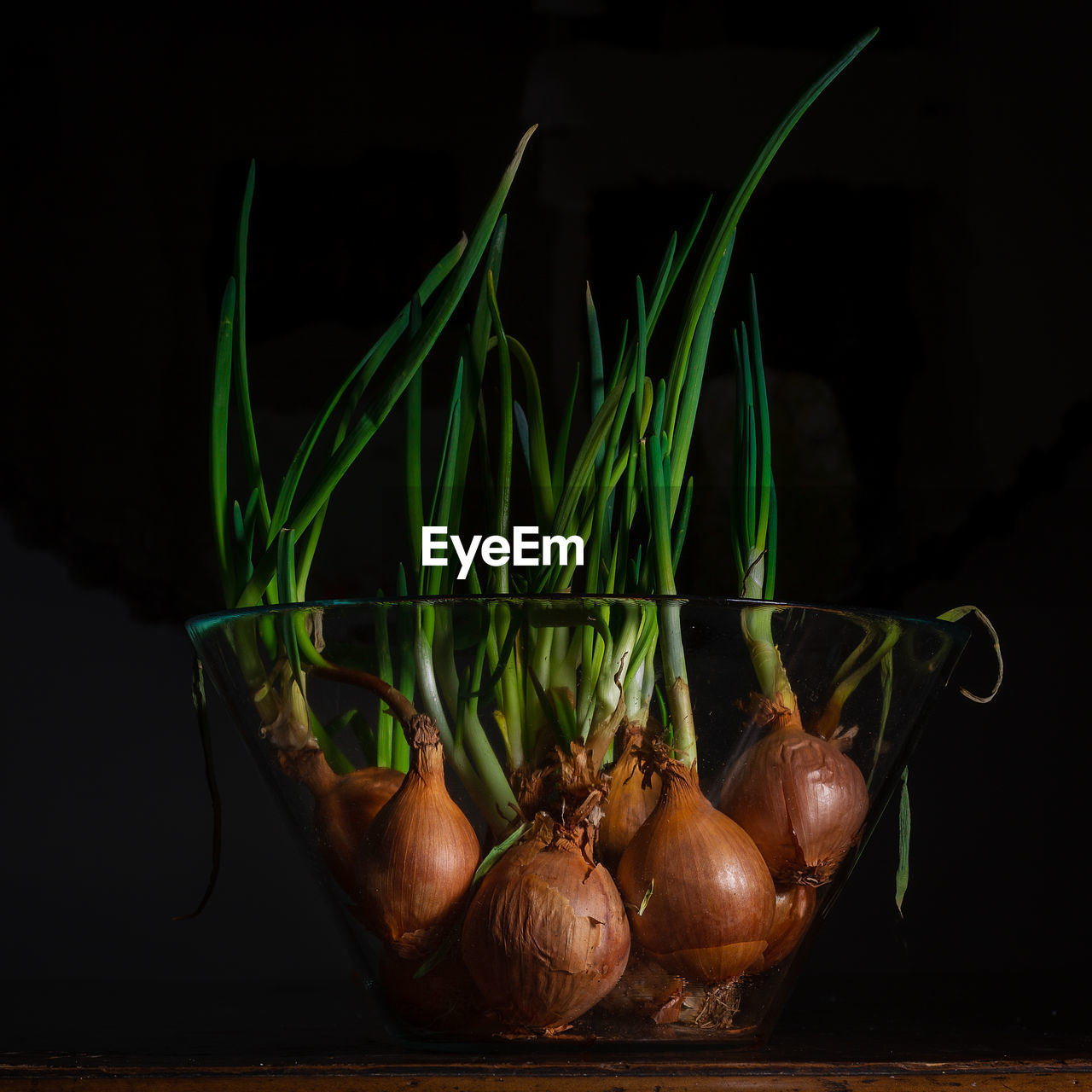 Close-up of vegetables on table against black background