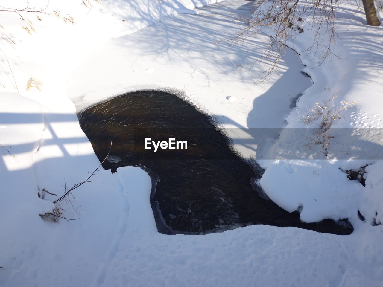 CLOSE-UP OF DOG IN WINTER