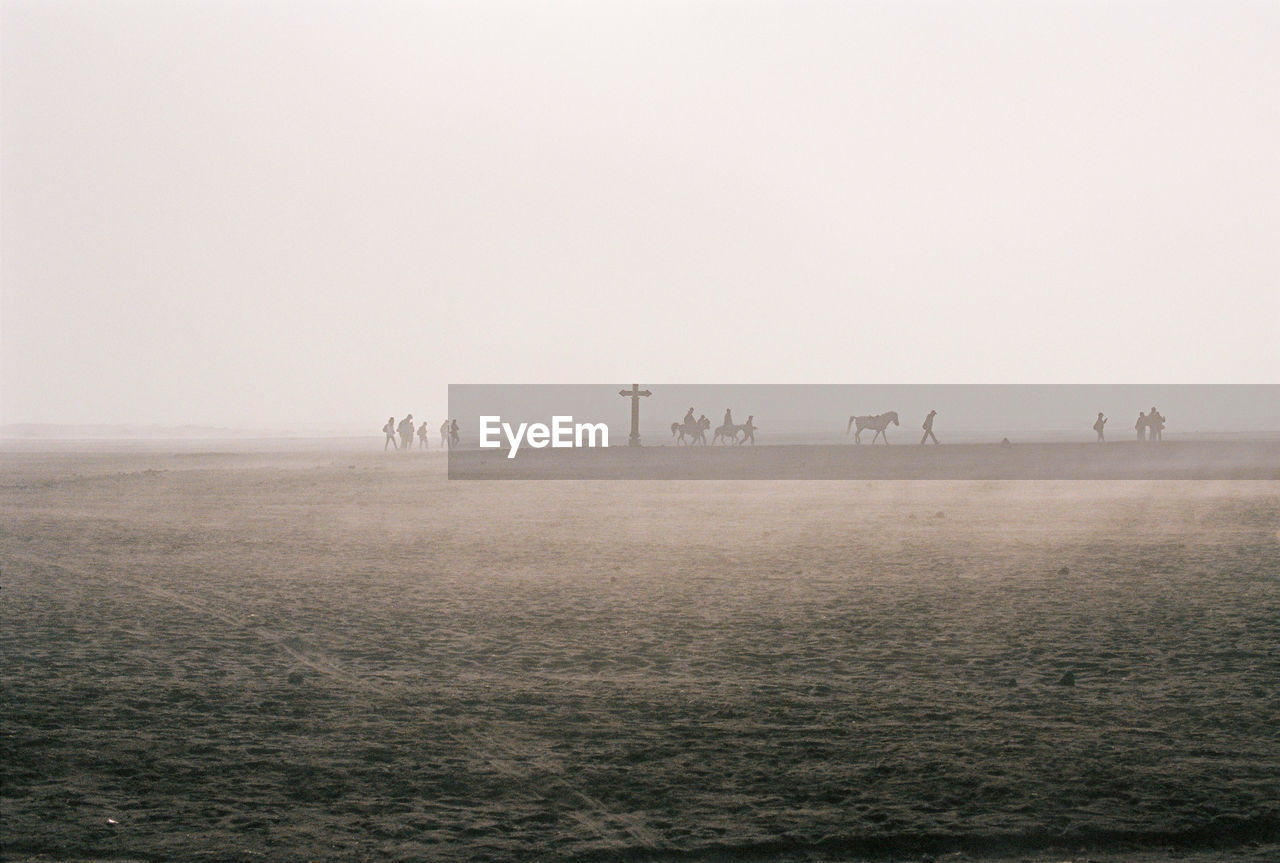 SCENIC VIEW OF FIELD DURING FOGGY WEATHER