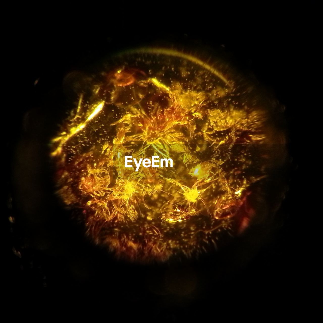 Internal feature of amber