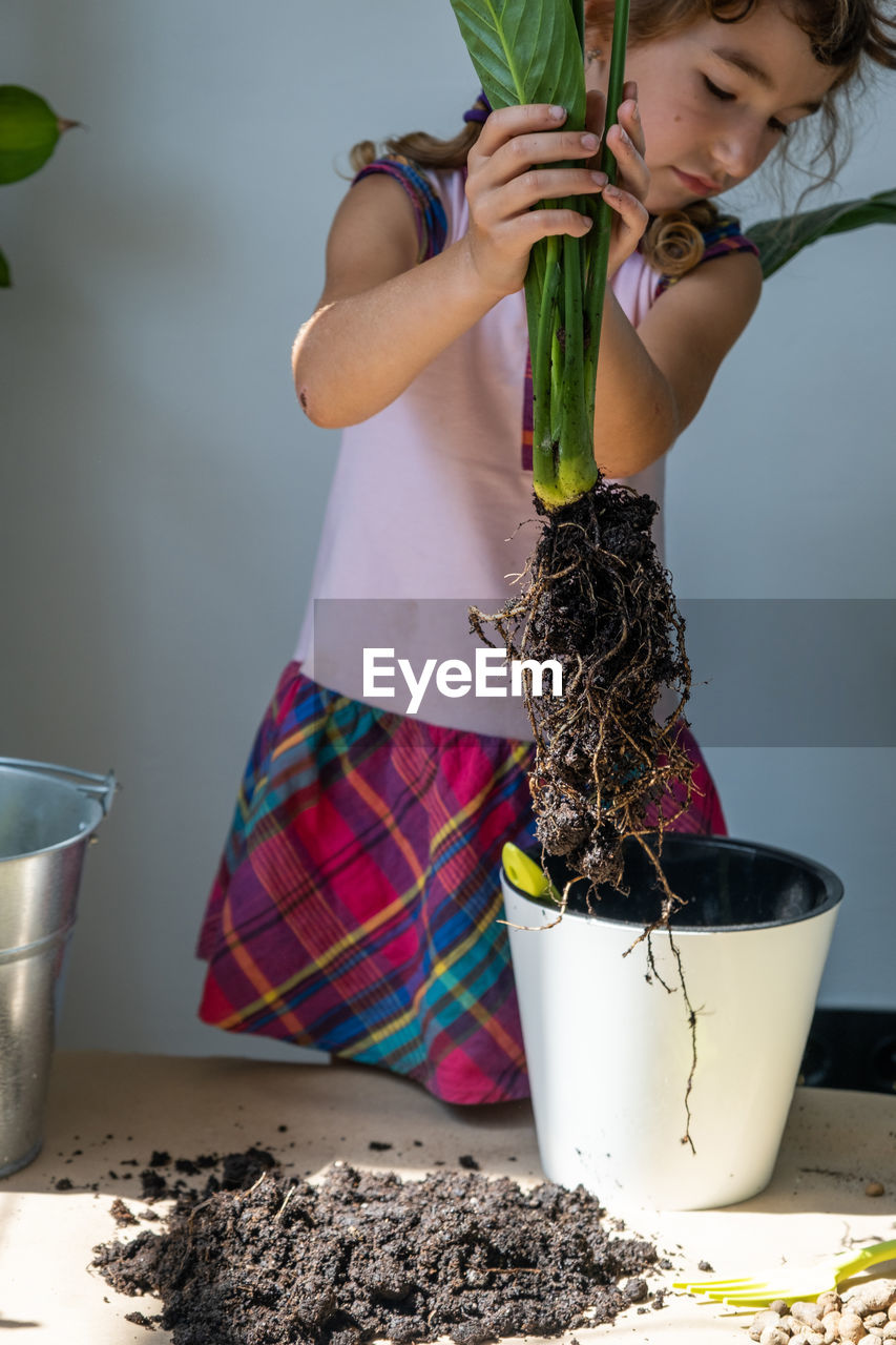 midsection of woman holding potted plant at home