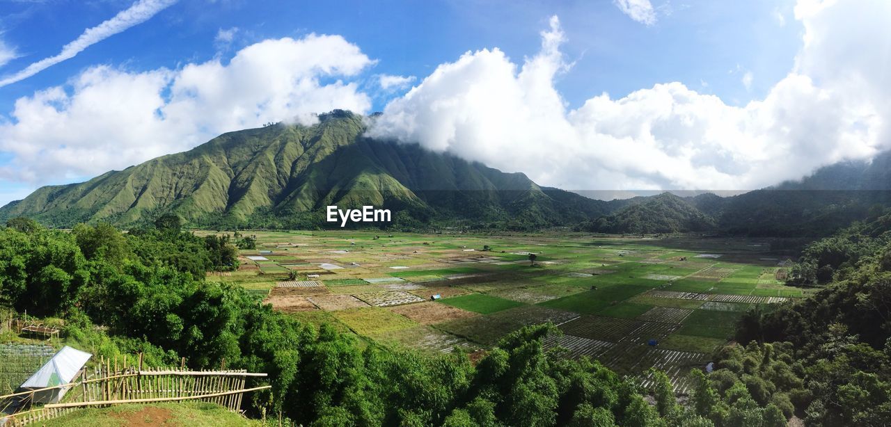 Panoramic view of agricultural field against sky