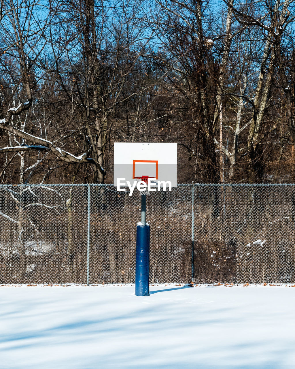 Basketball court against bare trees