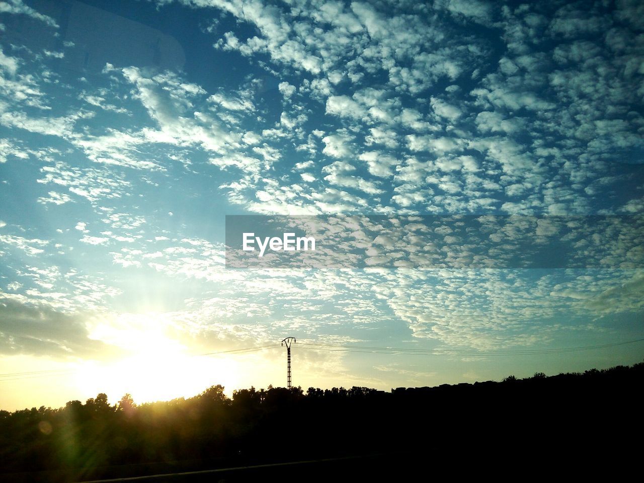 LOW ANGLE VIEW OF SILHOUETTE TREE AGAINST SKY