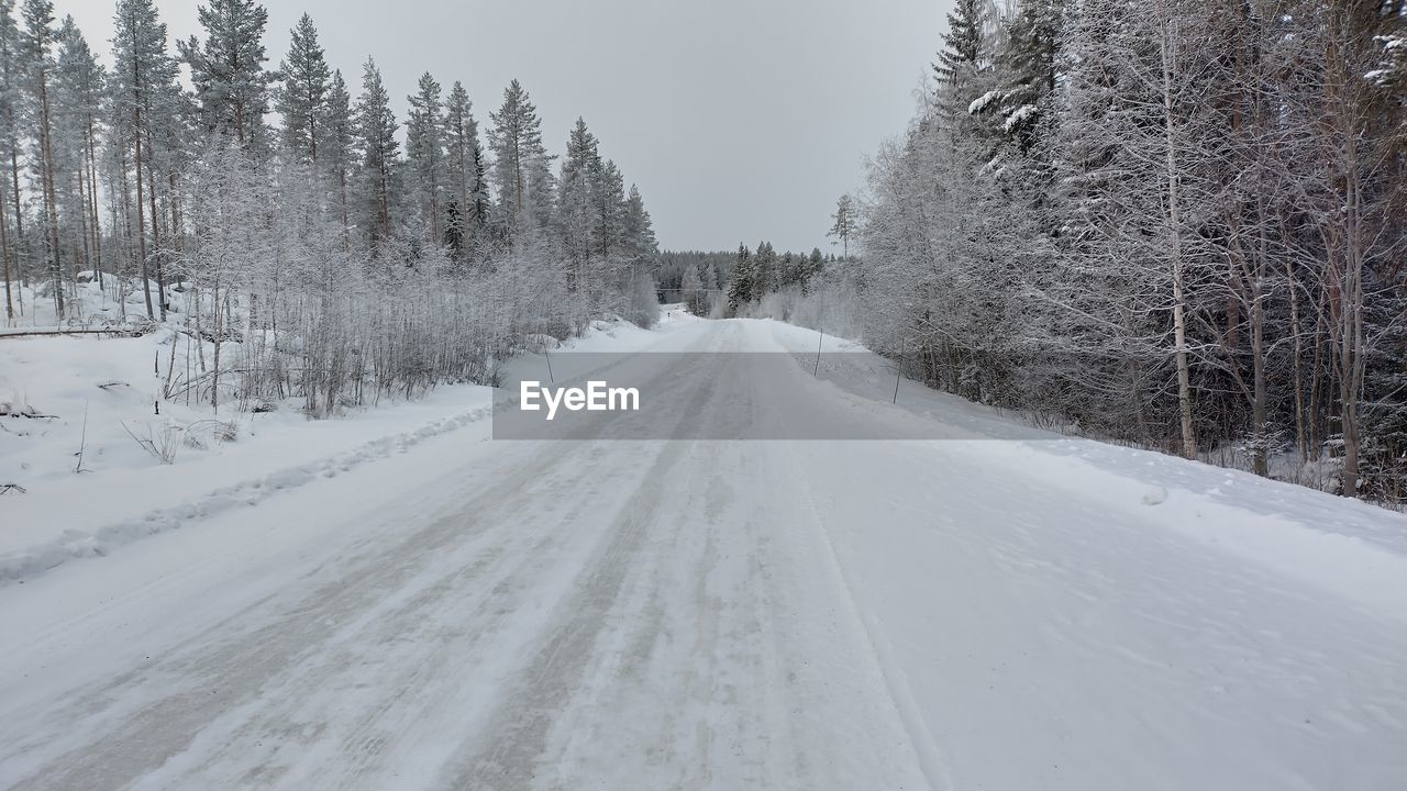 snow, cold temperature, winter, tree, plant, transportation, road, land, nature, environment, scenics - nature, landscape, forest, the way forward, beauty in nature, no people, pine tree, coniferous tree, white, non-urban scene, diminishing perspective, pine woodland, pinaceae, tranquil scene, travel, frozen, sky, tranquility, freezing, snowing, piste, tire track, woodland, winter storm, vanishing point, day, blizzard, outdoors, travel destinations, journey, mountain