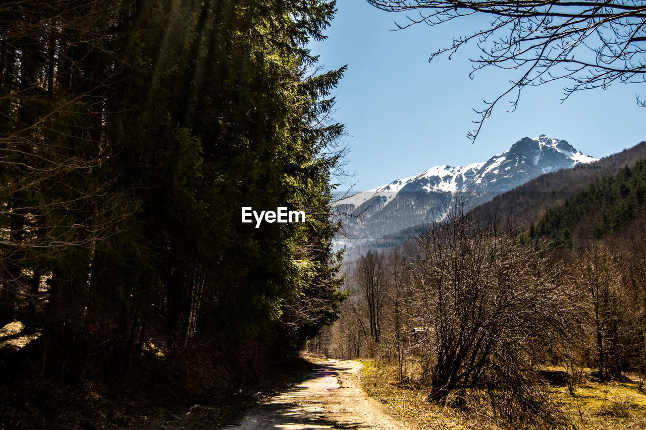 Scenic view of trees and mountains against sky