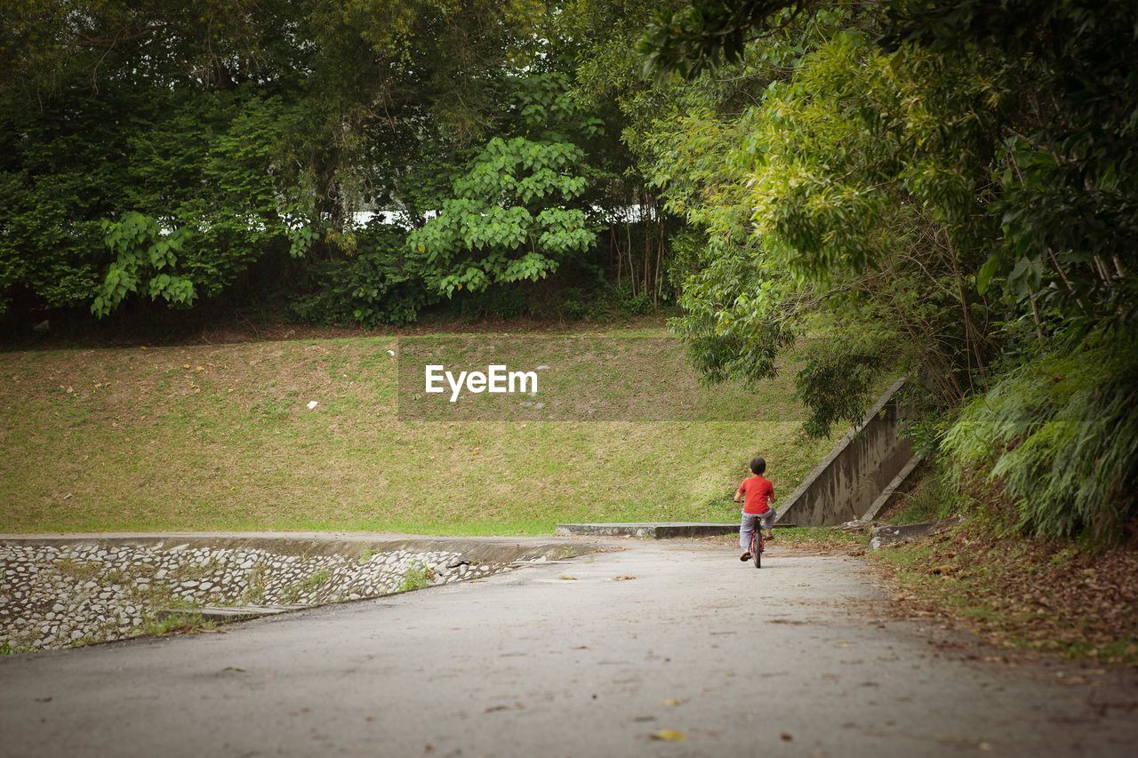 REAR VIEW OF MAN WALKING ON ROAD ALONG TREES