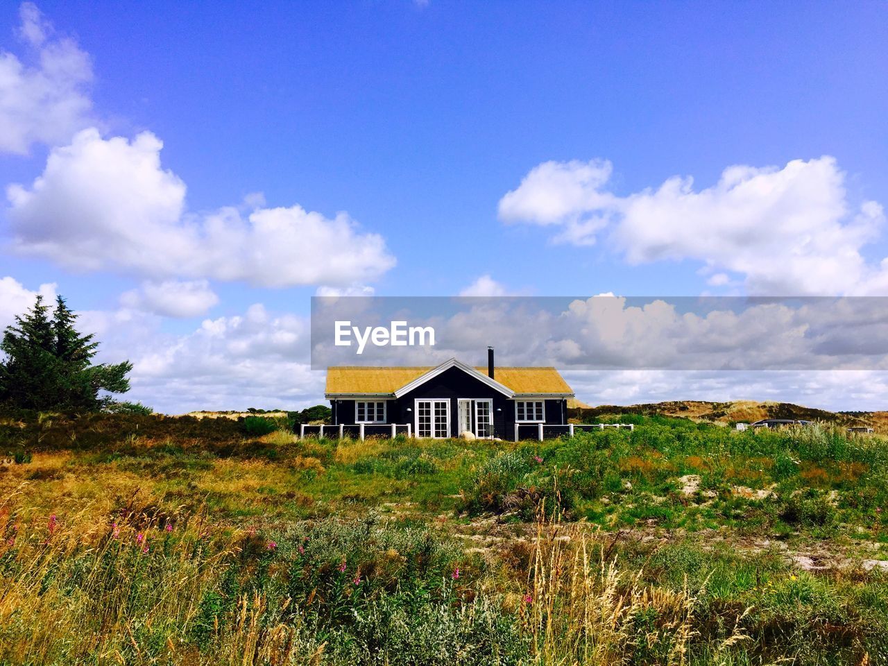 HOUSES ON GRASSY FIELD