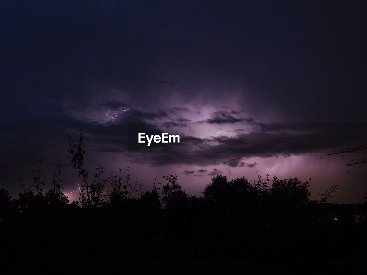 Silhouette trees against cloudy sky at night