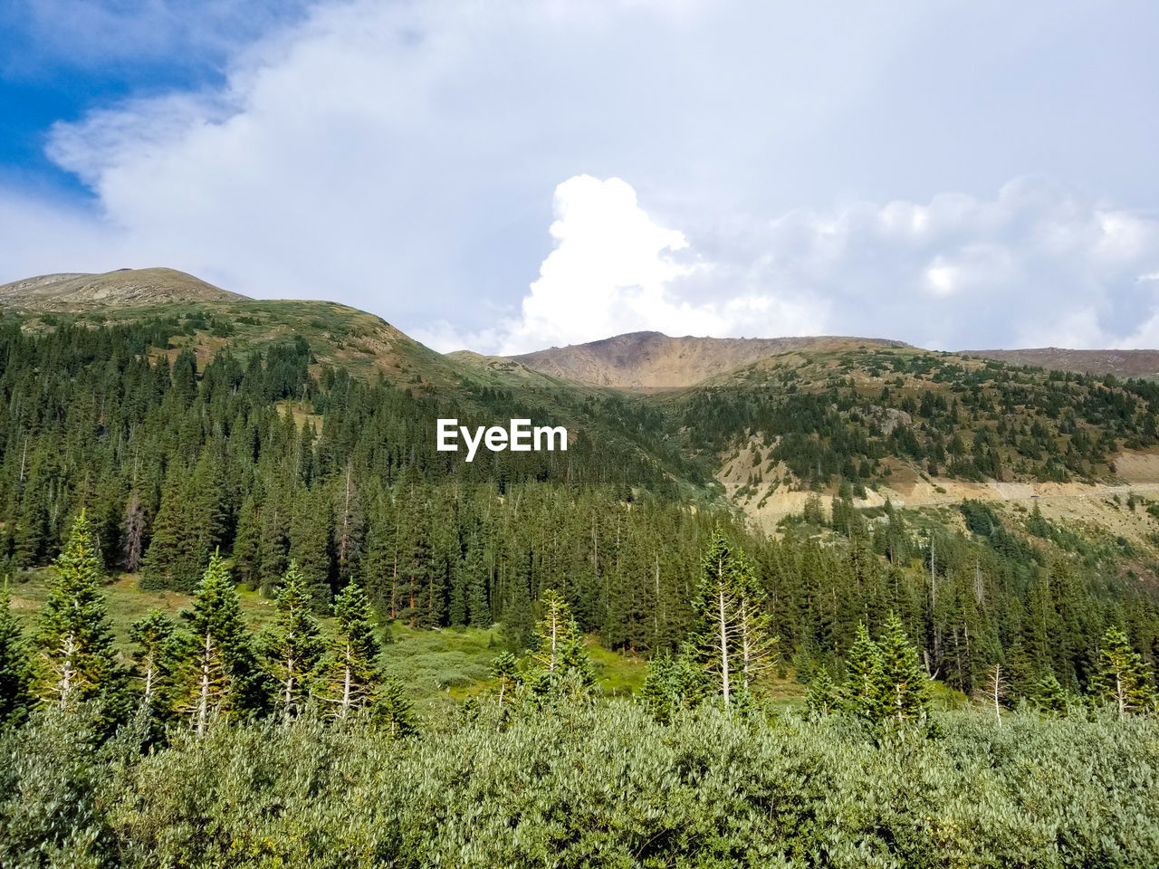 SCENIC VIEW OF LAND AGAINST SKY