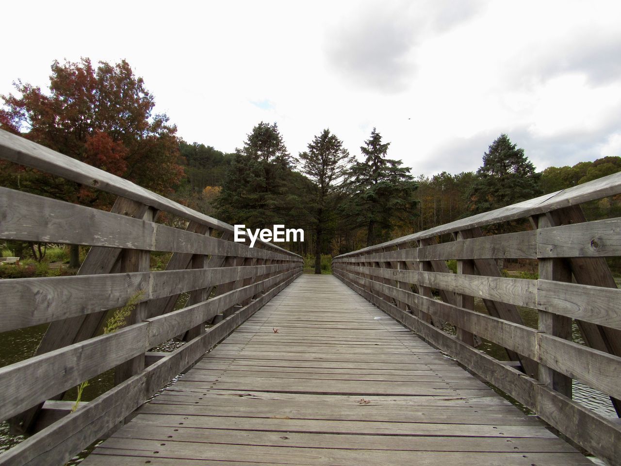 tree, walkway, plant, bridge, sky, the way forward, wood, nature, architecture, cloud, no people, built structure, footpath, footbridge, boardwalk, railing, diminishing perspective, land, forest, tranquility, outdoors, day, landscape, environment, non-urban scene, tranquil scene, scenics - nature, beauty in nature, water, transportation