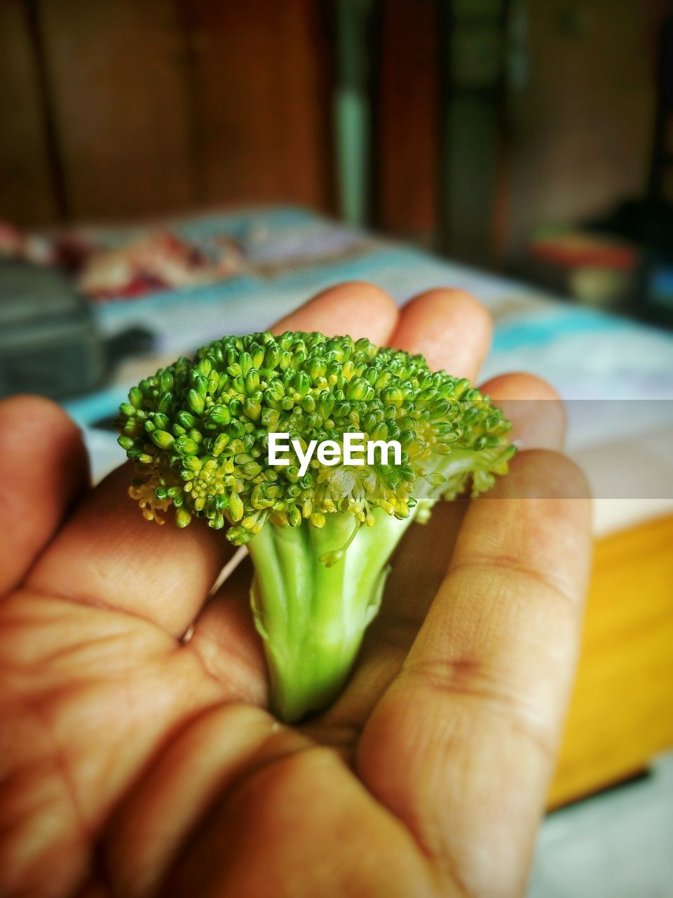 Cropped image of person broccoli over table