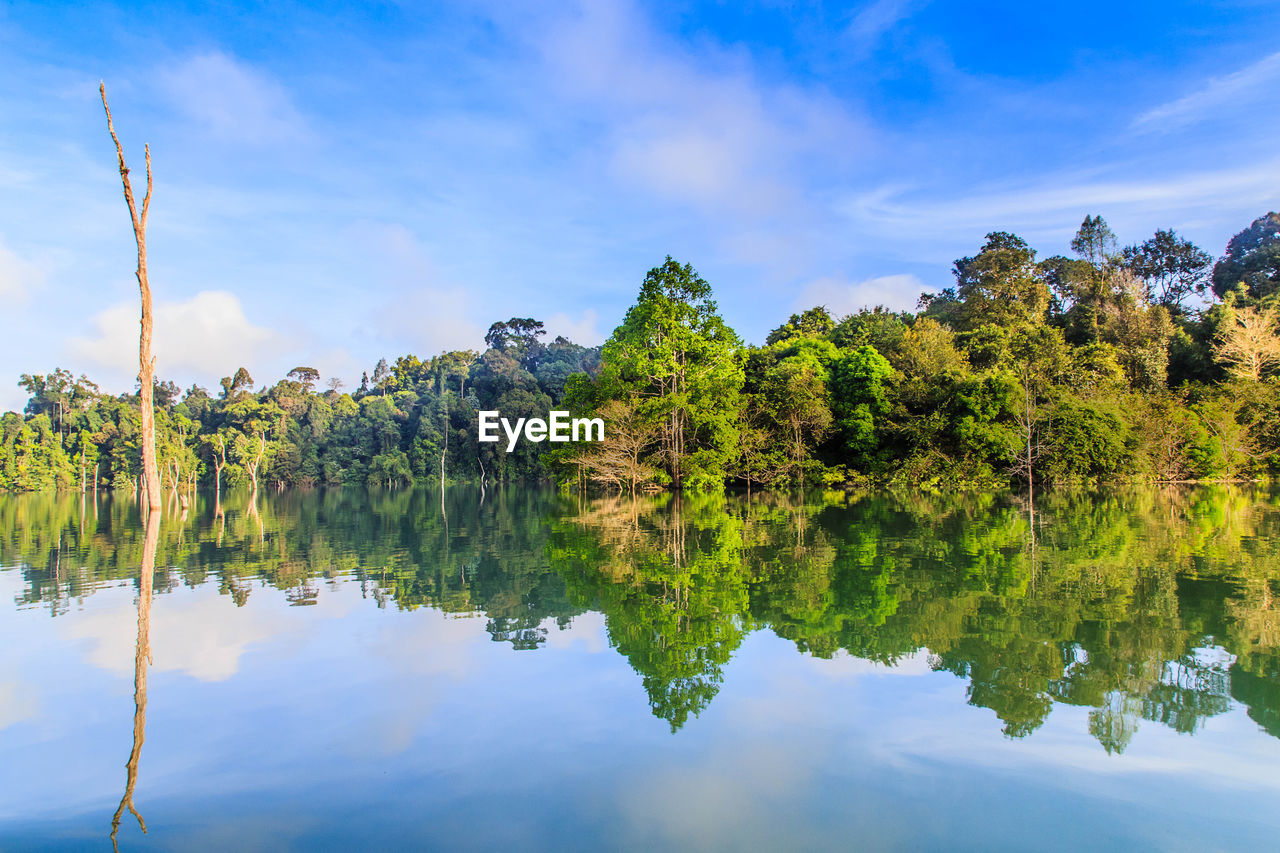 Reflection of trees on calm lake against blue sky