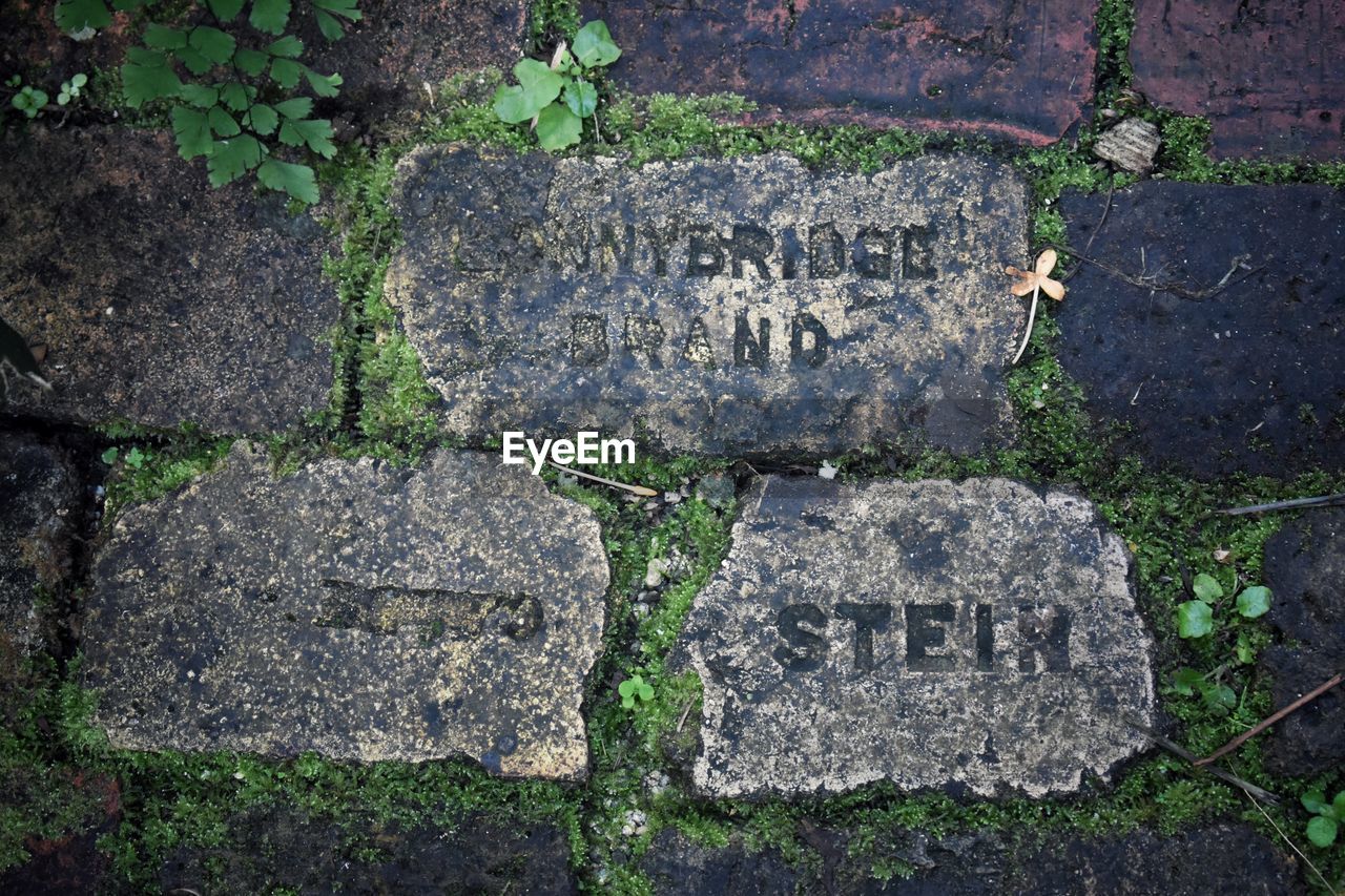 CLOSE-UP OF TEXT ON STONE AT CEMETERY