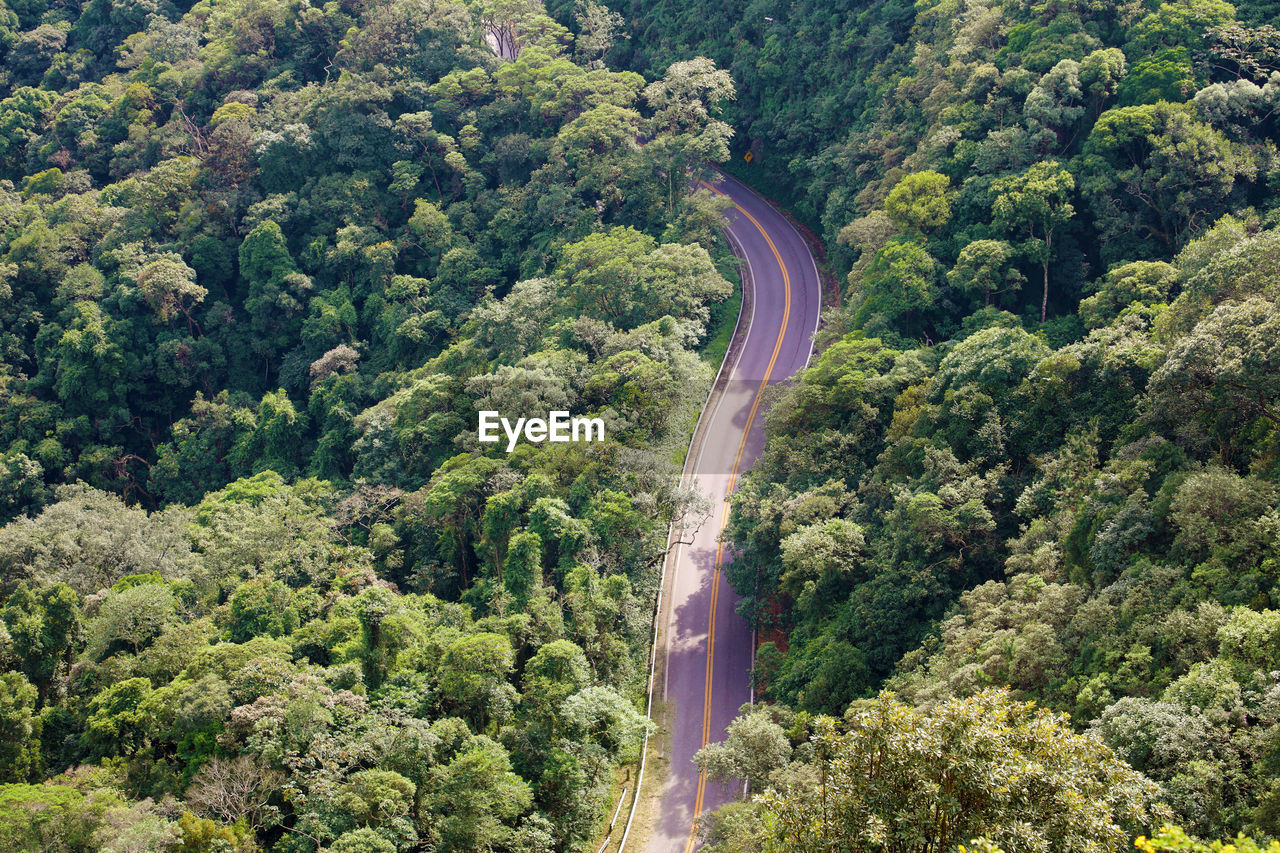 High angle view of road amidst trees in forest