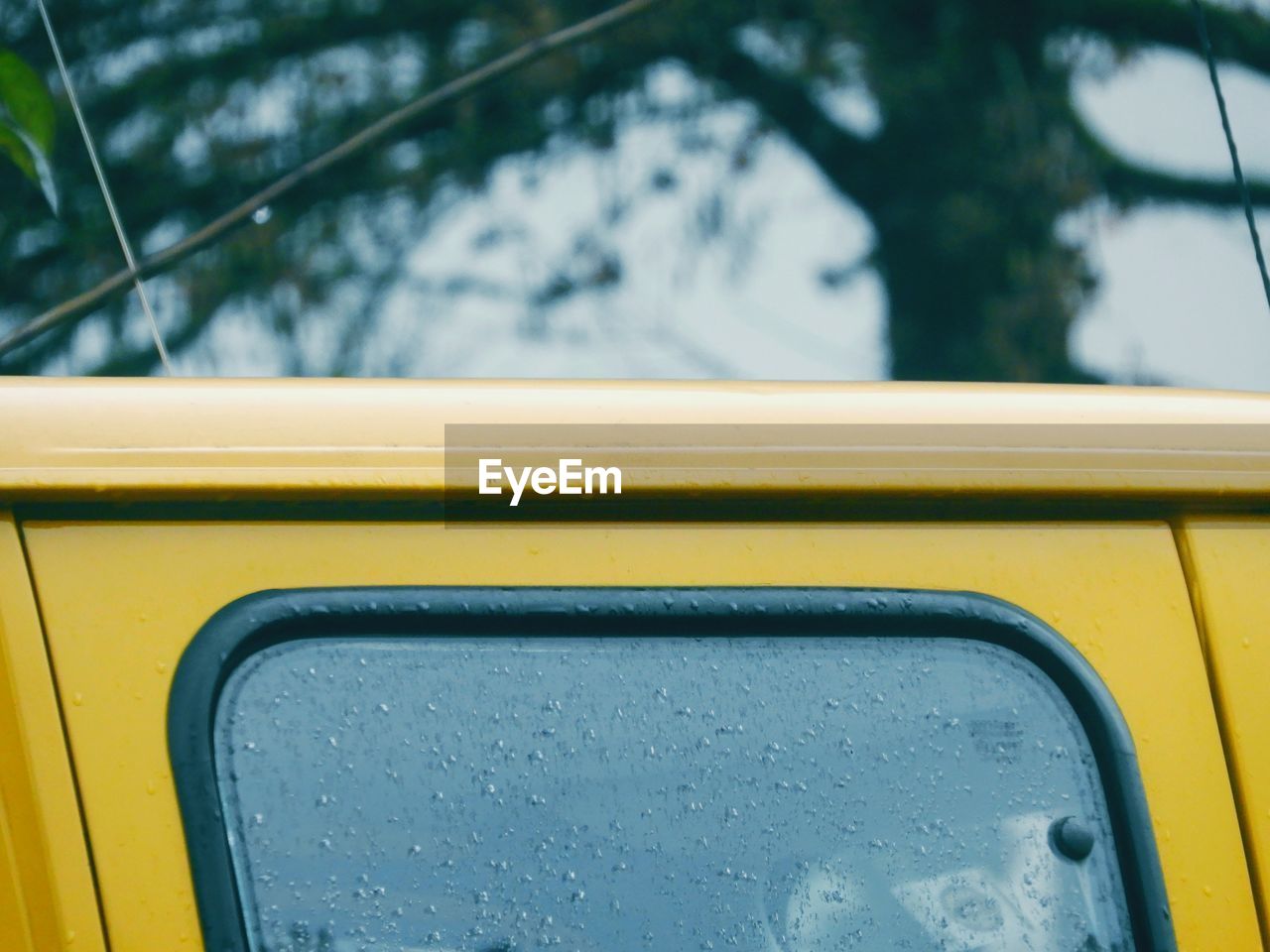 Close-up of raindrops on van window
