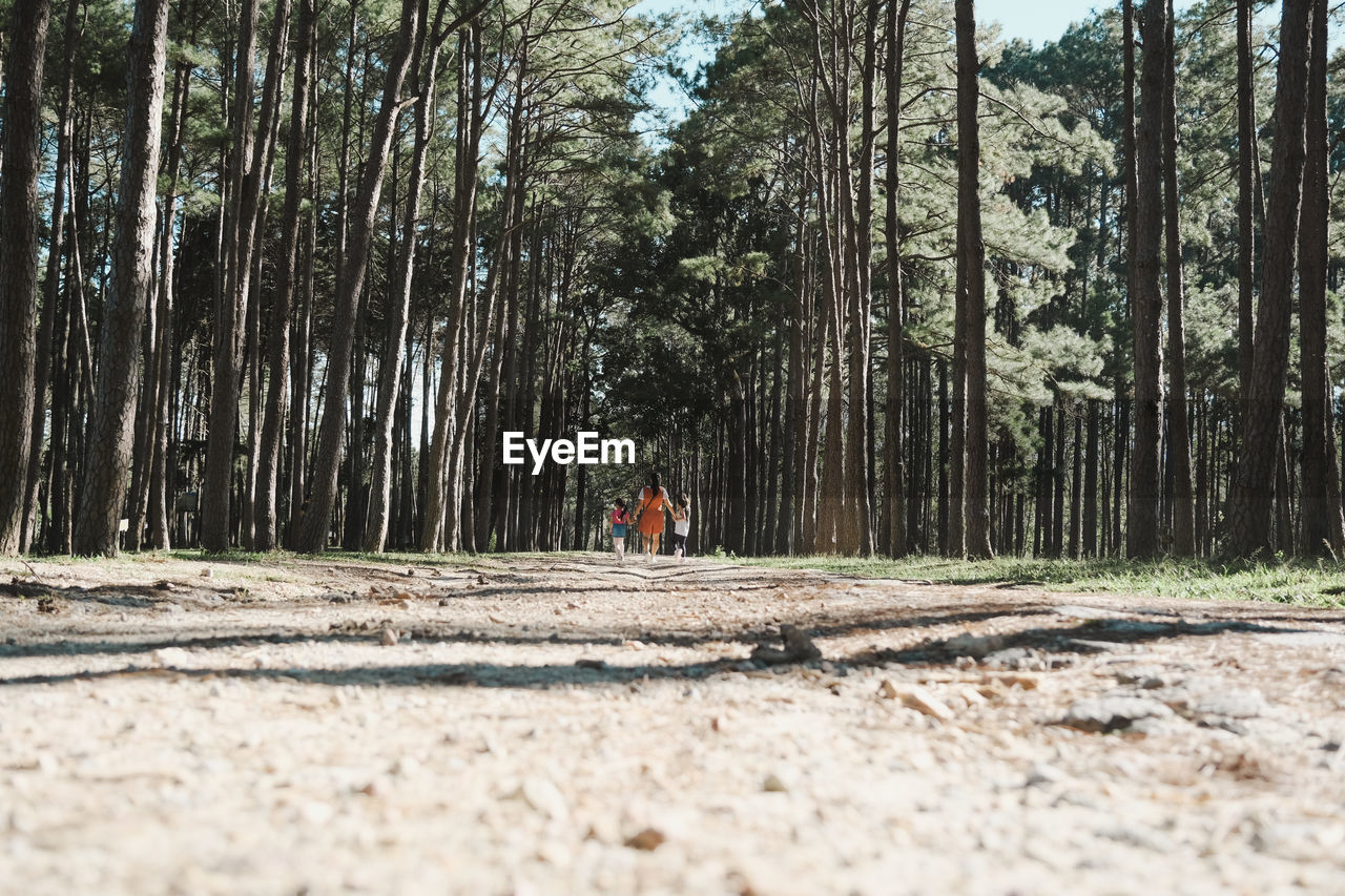 People on dirt road amidst trees in forest