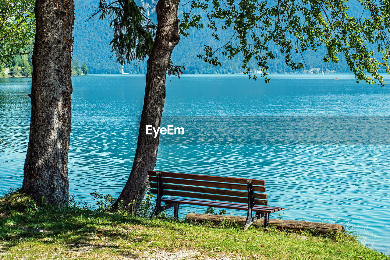 water, tree, plant, tranquility, nature, beauty in nature, tranquil scene, trunk, tree trunk, scenics - nature, seat, bench, land, blue, no people, day, beach, shore, sea, idyllic, relaxation, park, outdoors, sky, sunlight, body of water, non-urban scene, green, park bench, growth, grass, wood, park - man made space, empty, absence, branch, landscape, furniture