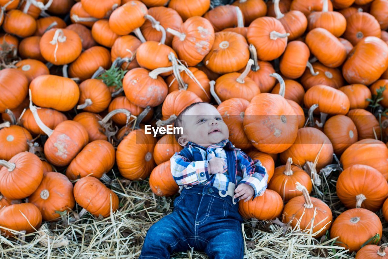 High angle view of baby boy lying by pumpkins