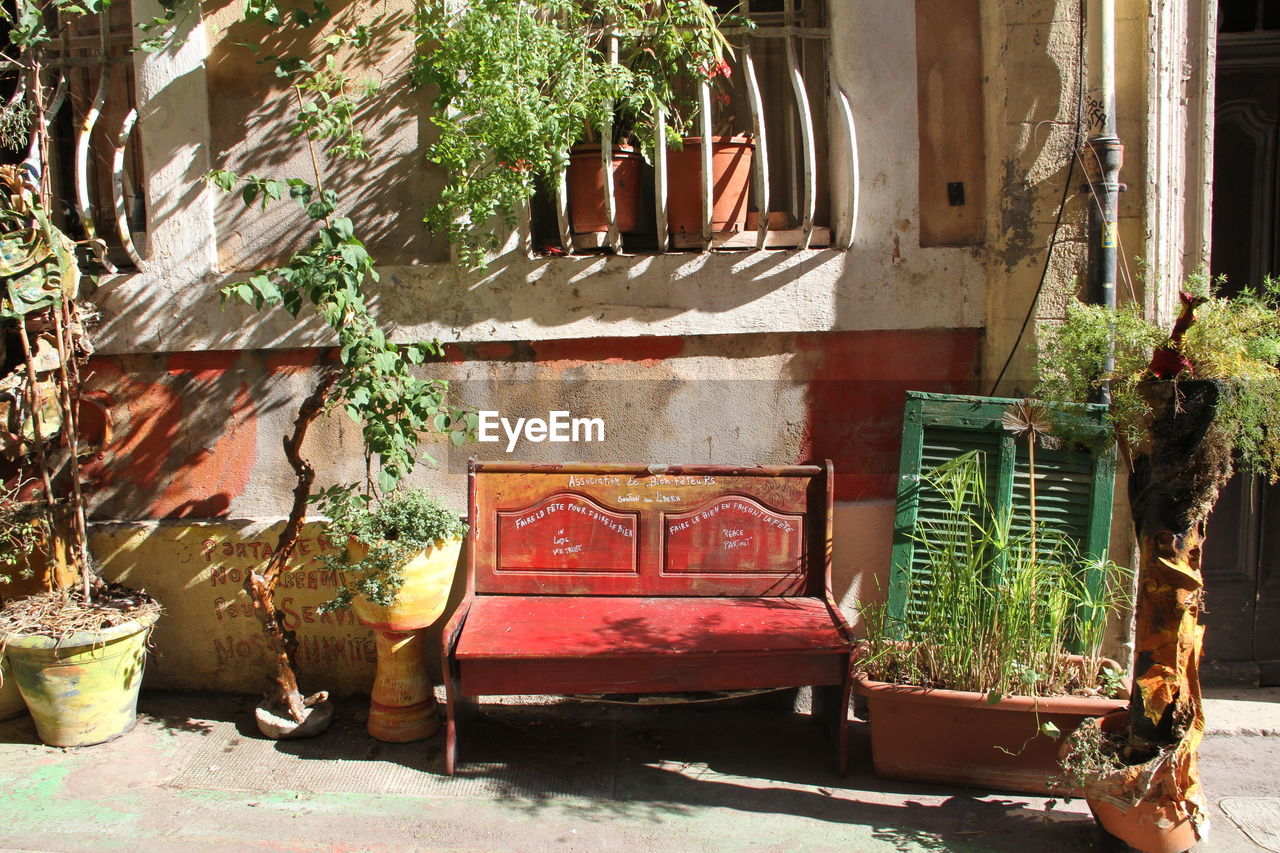 VIEW OF POTTED PLANTS IN BACKYARD