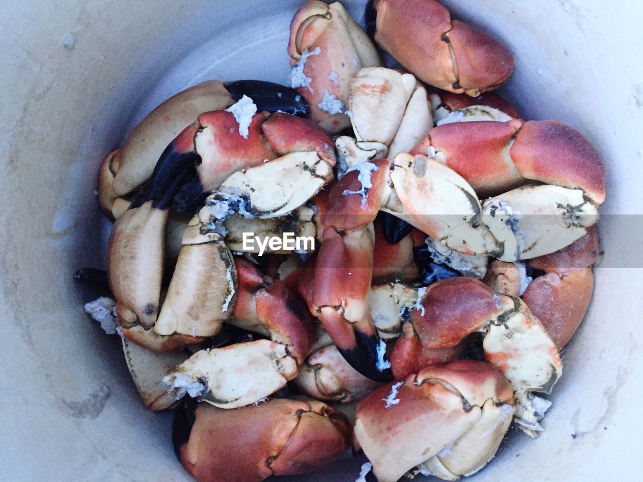 HIGH ANGLE VIEW OF EGGS IN CONTAINER