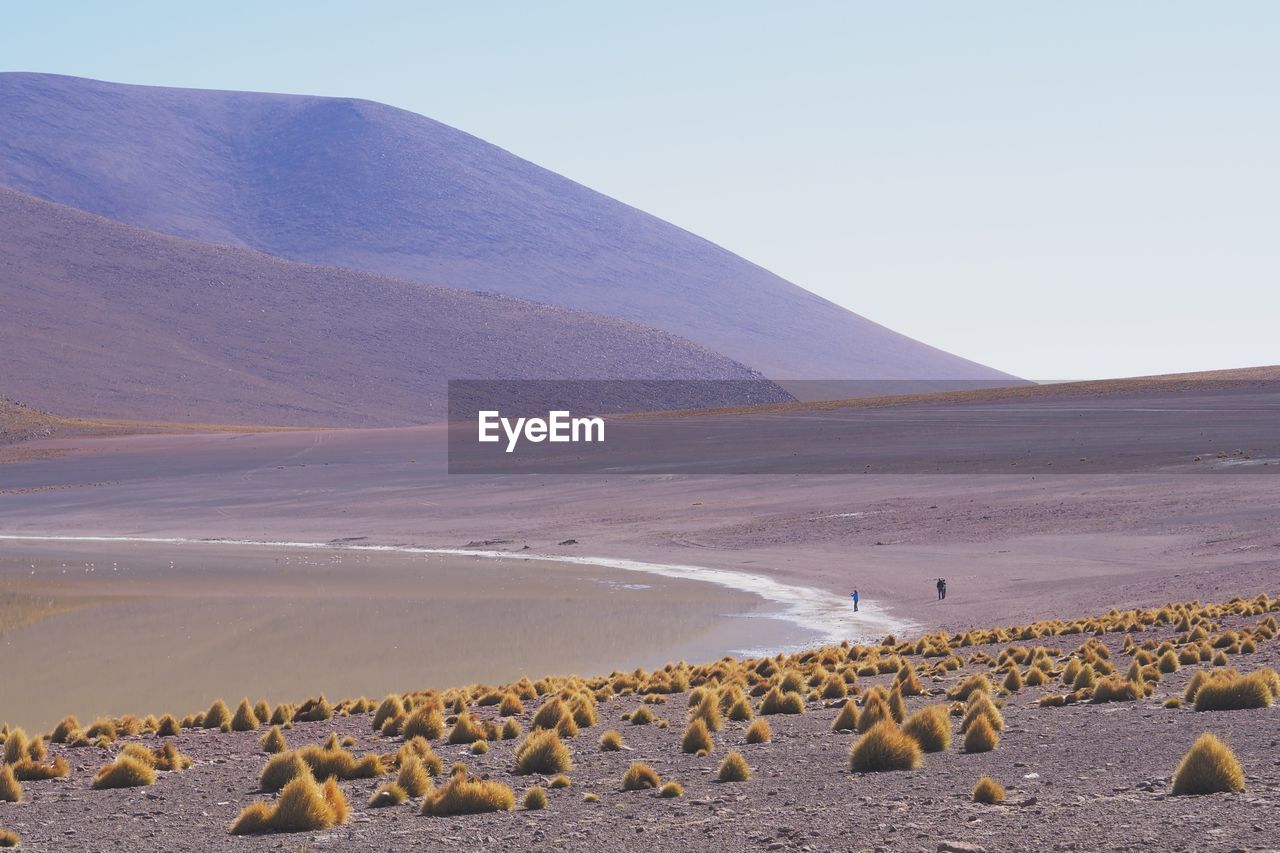 Scenic view of desert against clear sky