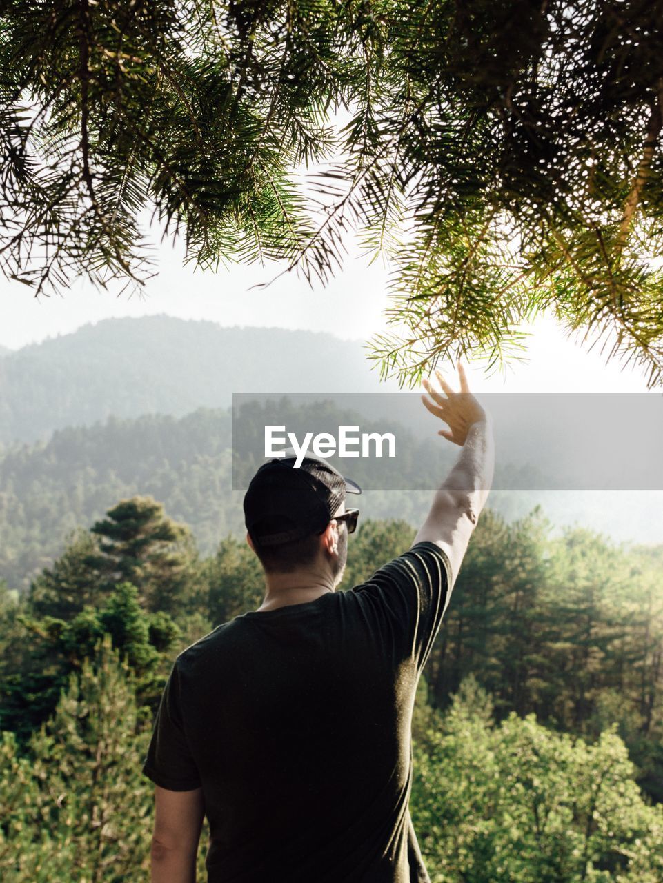 Rear view of man waving hand while standing on mountain in forest