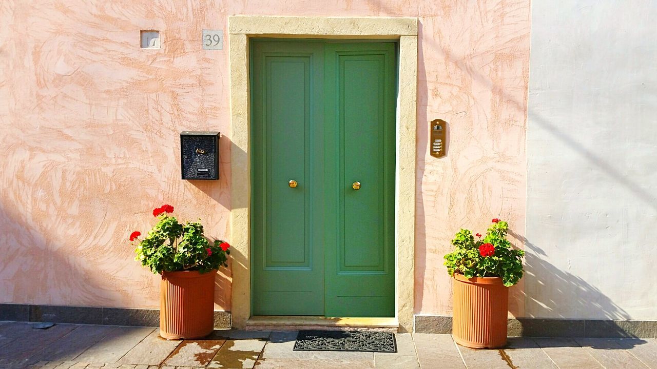 Potted plants amidst green door