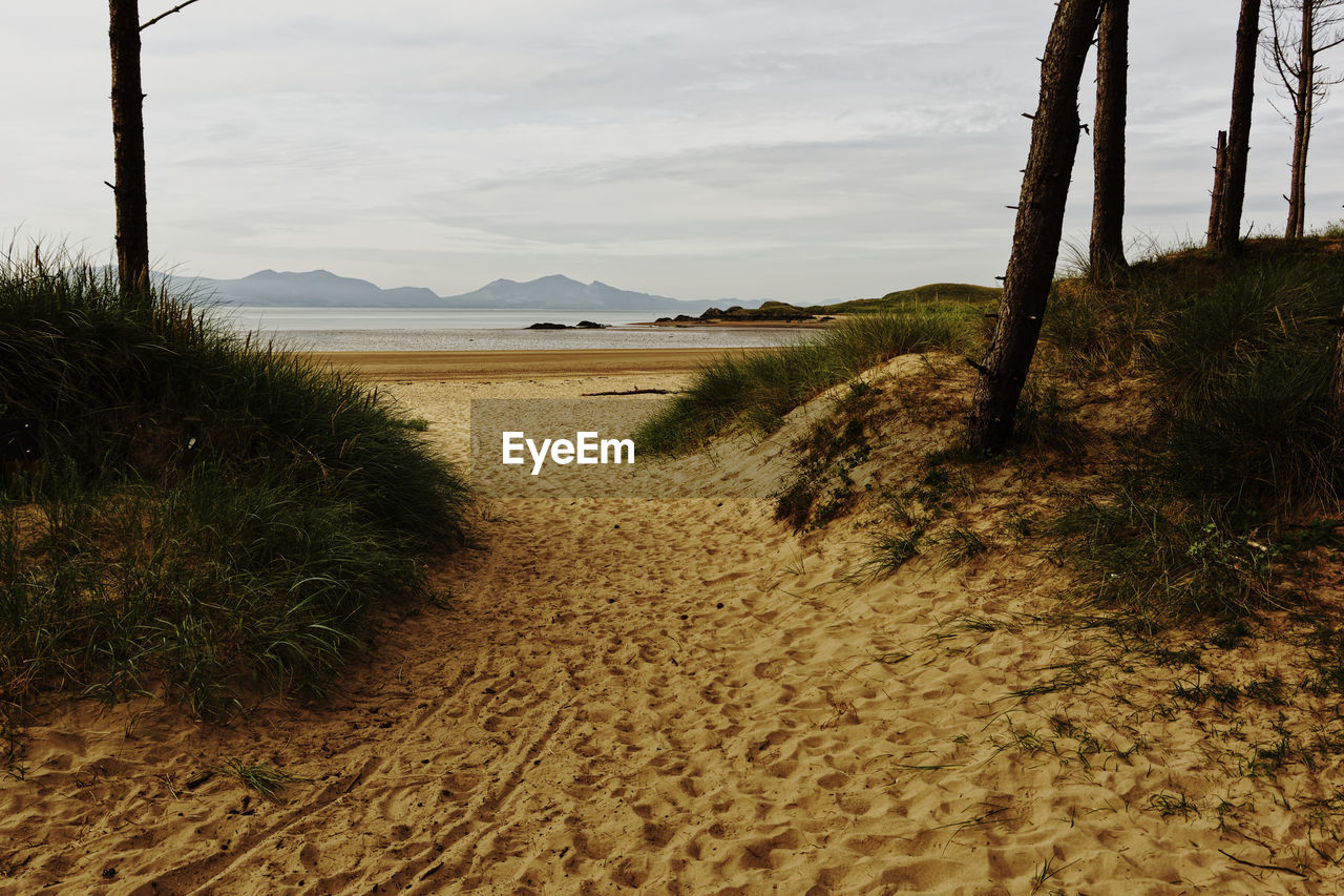 Scenic view of beach against sky