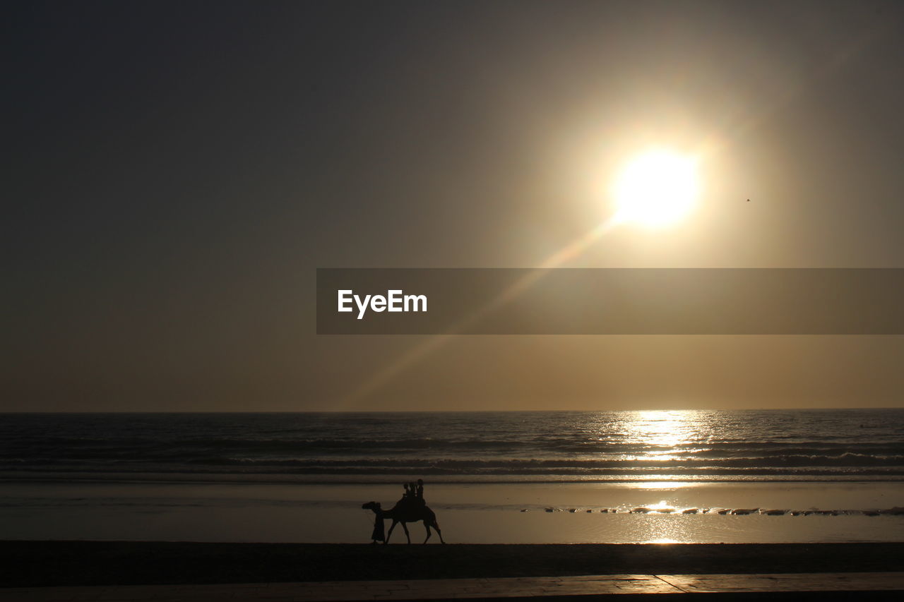 Silhouette people with camel walking on shore at beach against clear sky during sunset