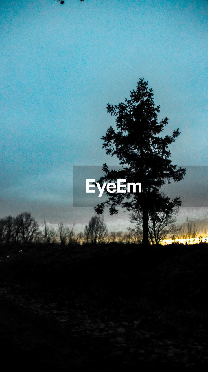 SILHOUETTE TREE ON FIELD AGAINST SKY