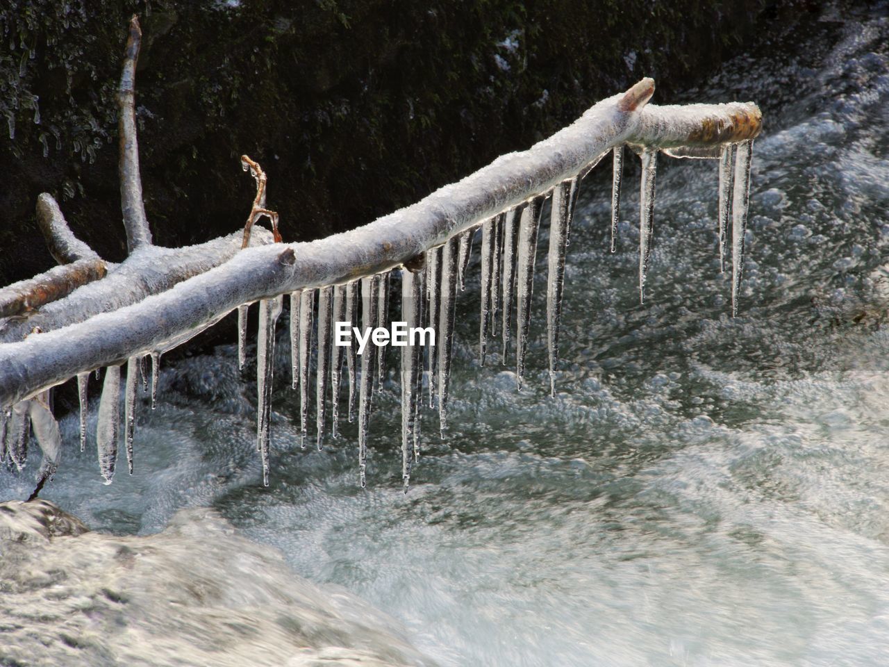 VIEW OF WATERFALL IN FOREST