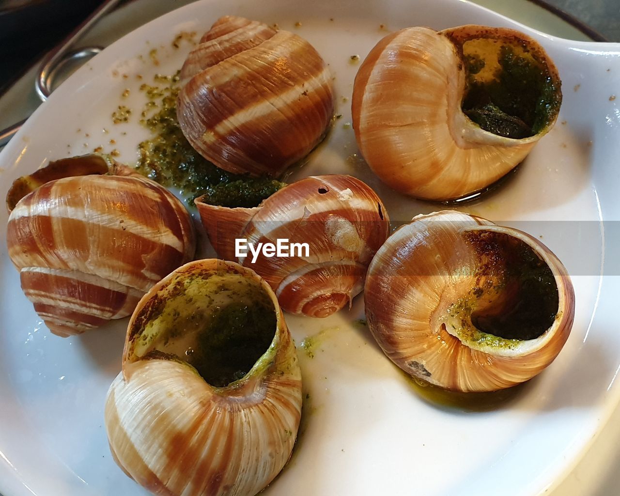 High angle view of shells in plate