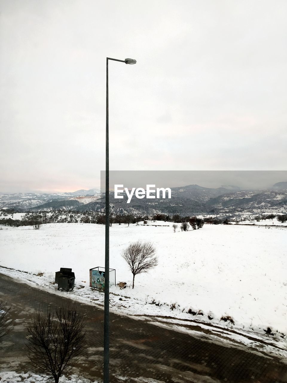 Street by snow covered road against sky