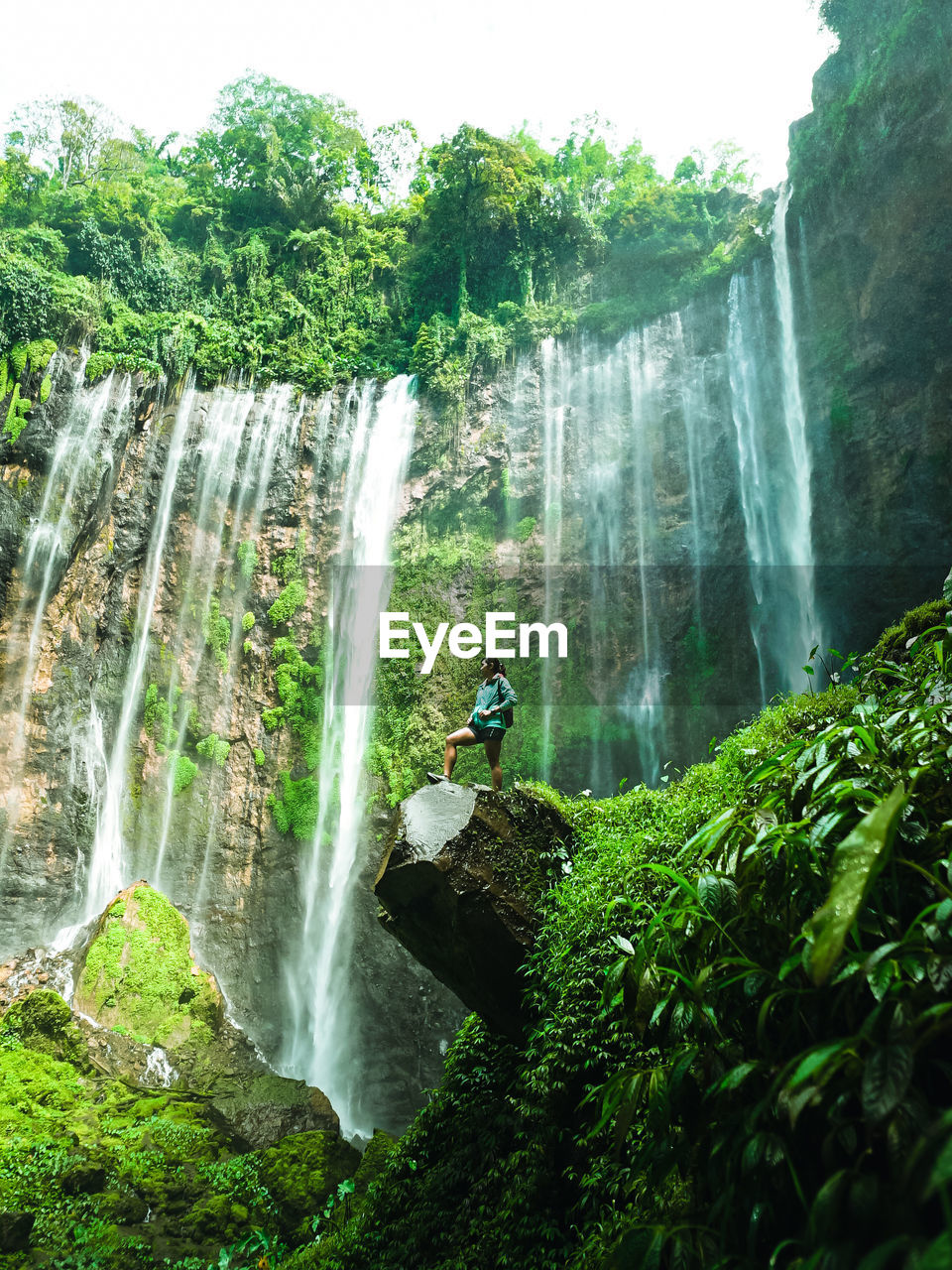 Scenic view of waterfall in forest, the beauty of the tumpak sewu waterfall.