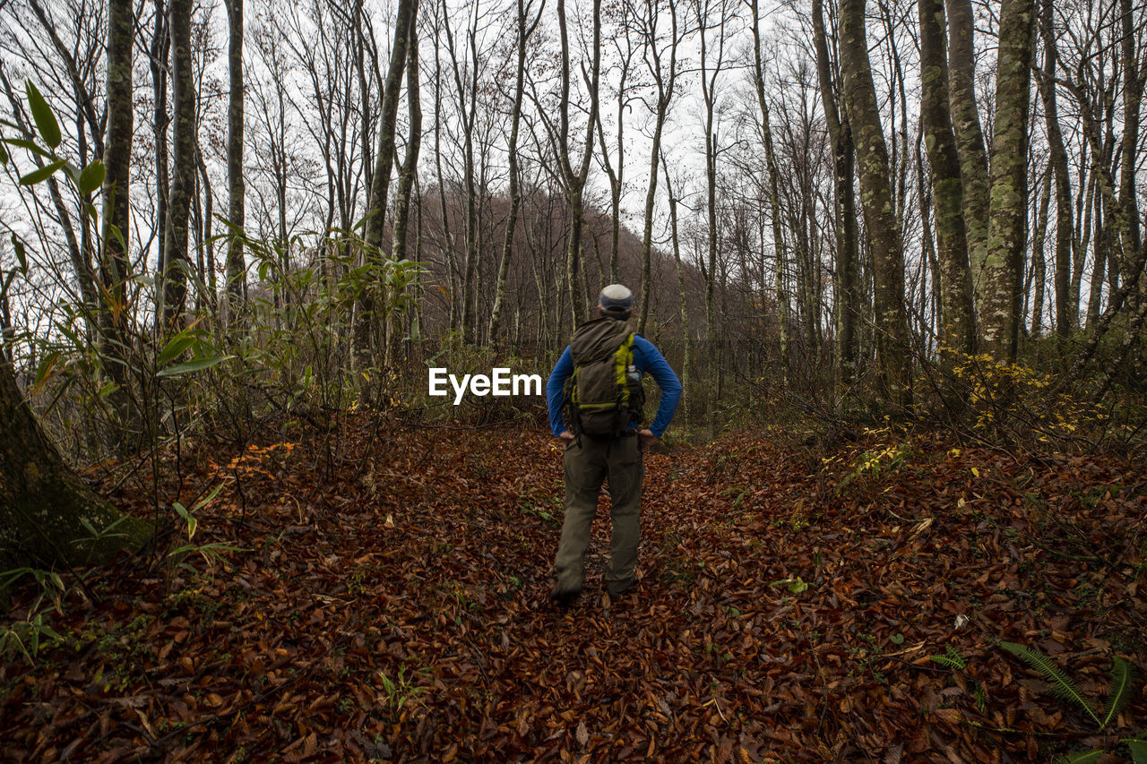 FULL LENGTH REAR VIEW OF MAN STANDING IN FOREST