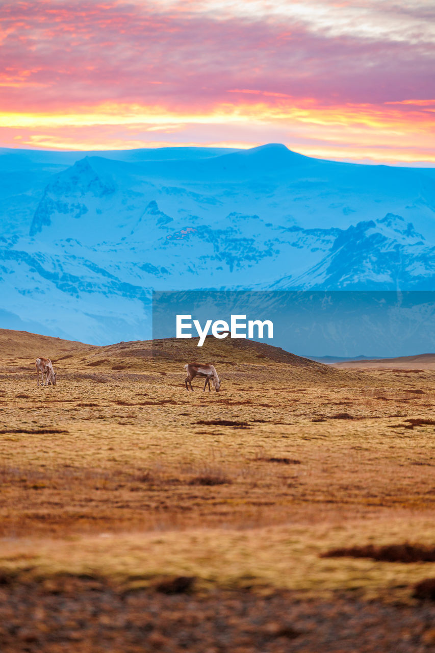 scenic view of mountains against sky during sunset