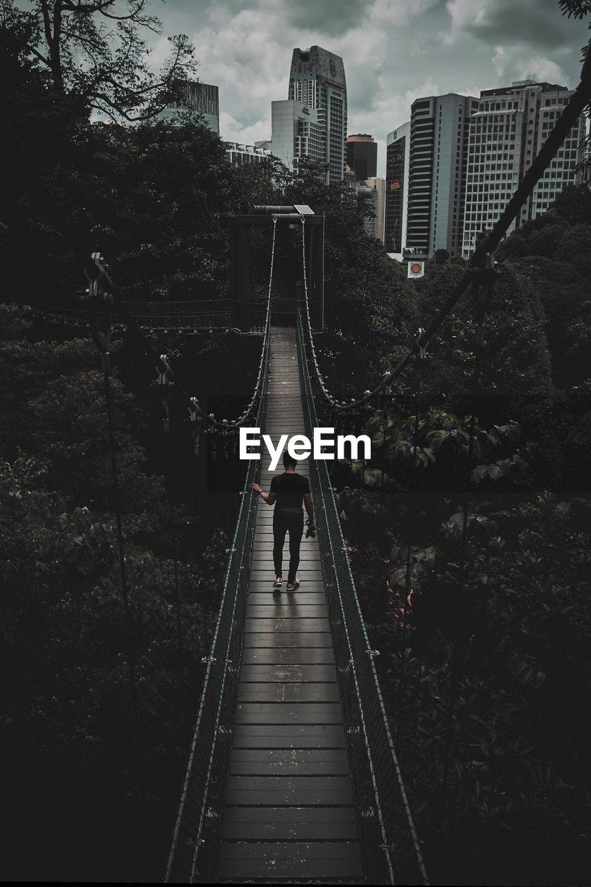 Rear view of man standing on bridge amidst trees